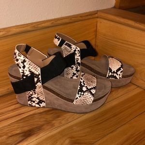 Snakeskin and black Wedge!